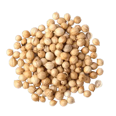 coriander_seeds.5d68460b