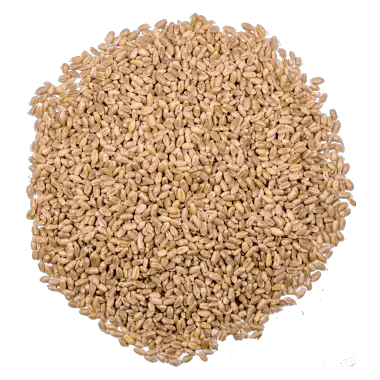 durum.ac774b8b