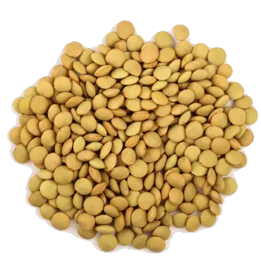 eston_lentils.dba5a414