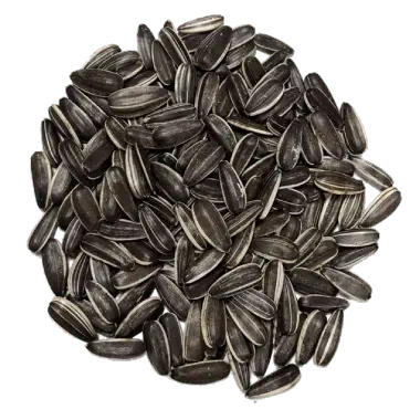 sunflower_seeds.8598f748